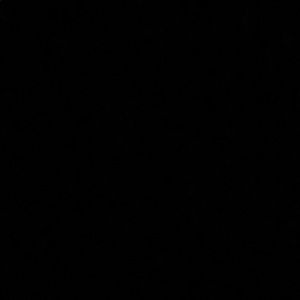 Meet your Posher, Liz